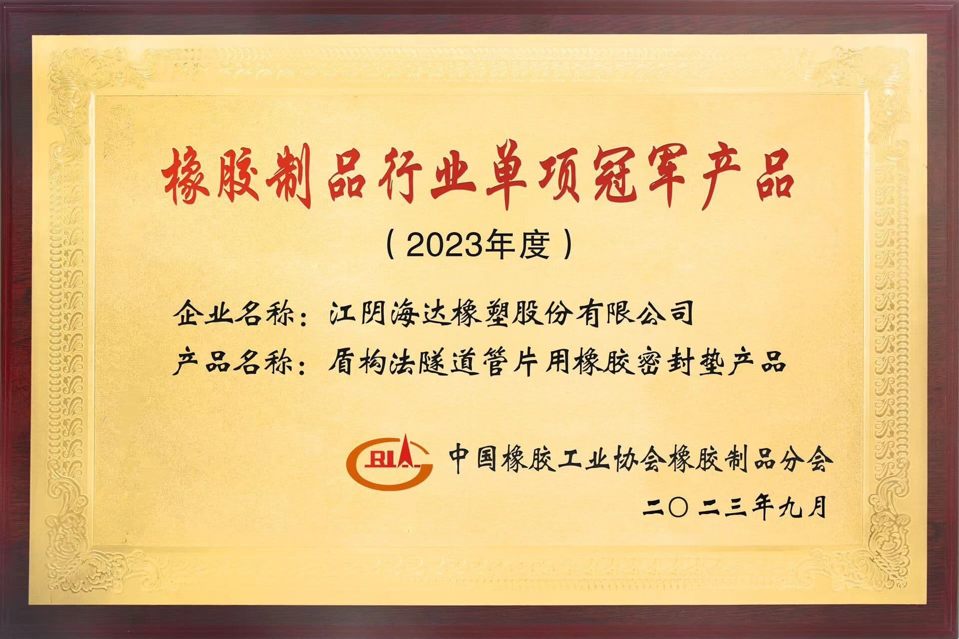Single champion products in the rubber products industry