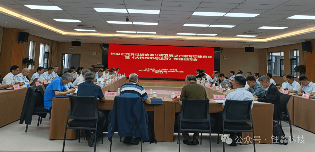 Expert Technical Consultation on Orthotropic Steel Bridge Deck Maintenance and Rehabilitation