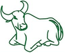 Shanghai Wei Yuan Patent Law LLC