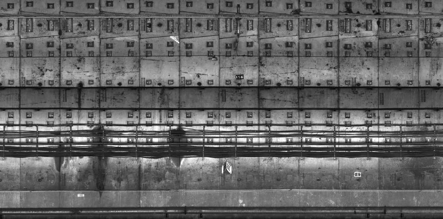 Line scan camera image
