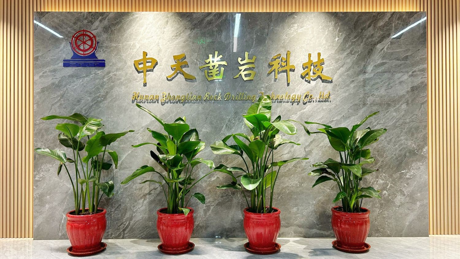 Company technology and product cover image